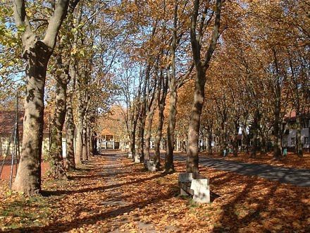 Balatonboglár ősszel